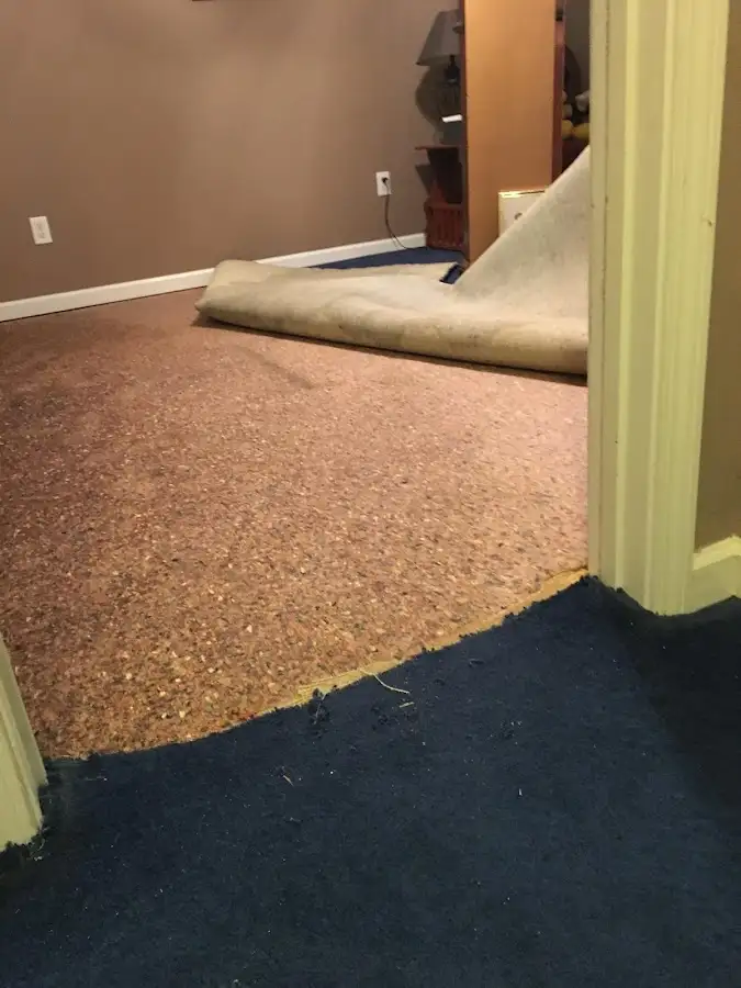 Carpet pad removal revealing water damage during Drying & Dehumidification in Robbinsdale
