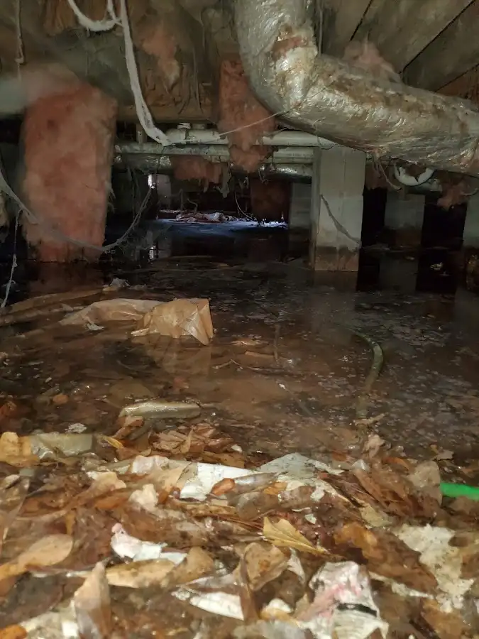 Crawl space flood assessment for Commercial Water Damage Restoration in Robbinsdale