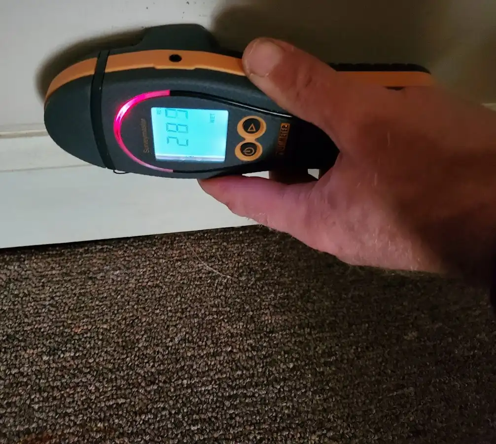 Moisture detection at baseboard during Burst Pipe Cleanup in Robbinsdale